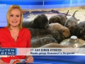 5_rtl_tv_04